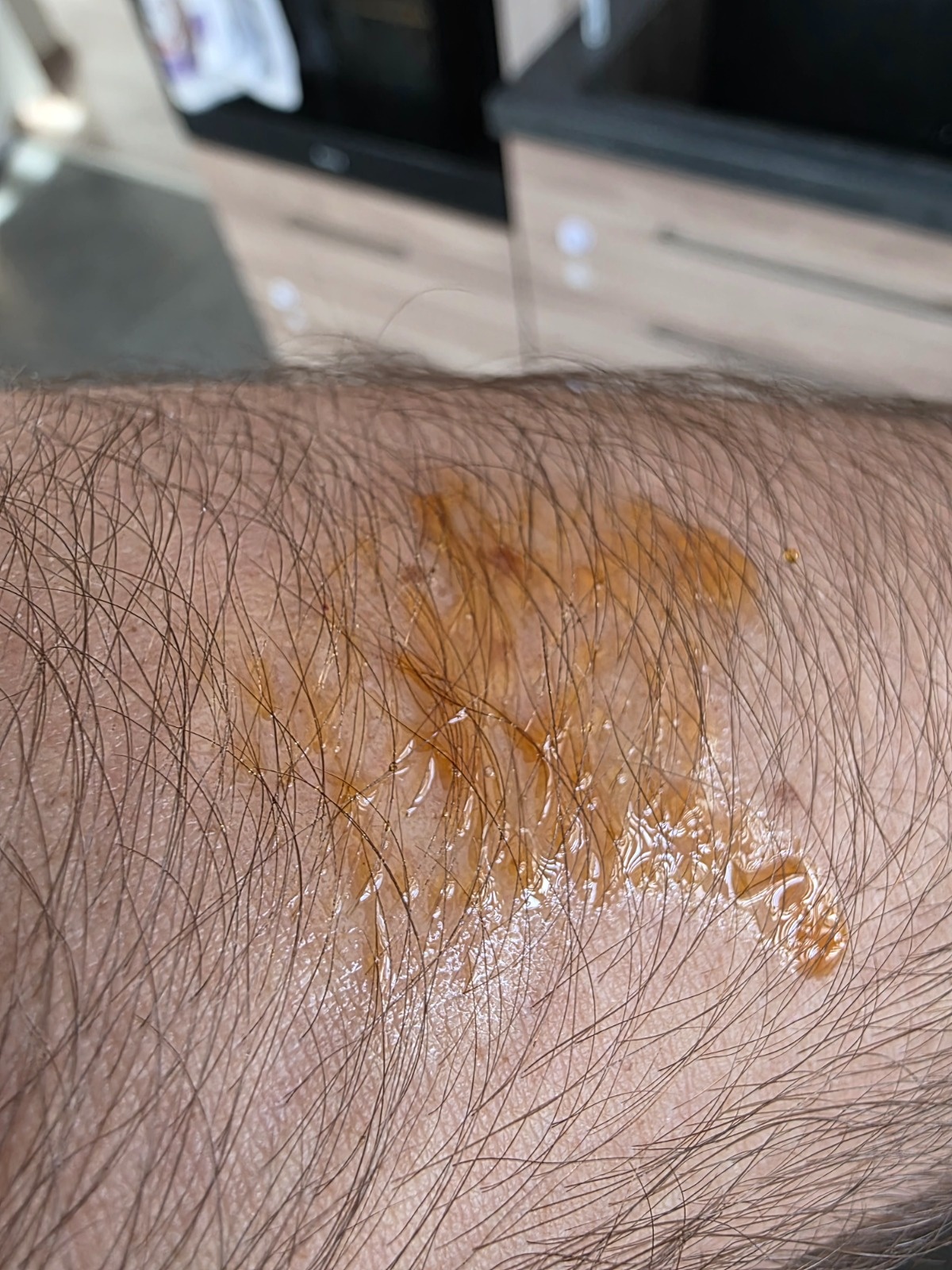 d59e7bef-211f-4046-9d7d-e6b08eb206a9