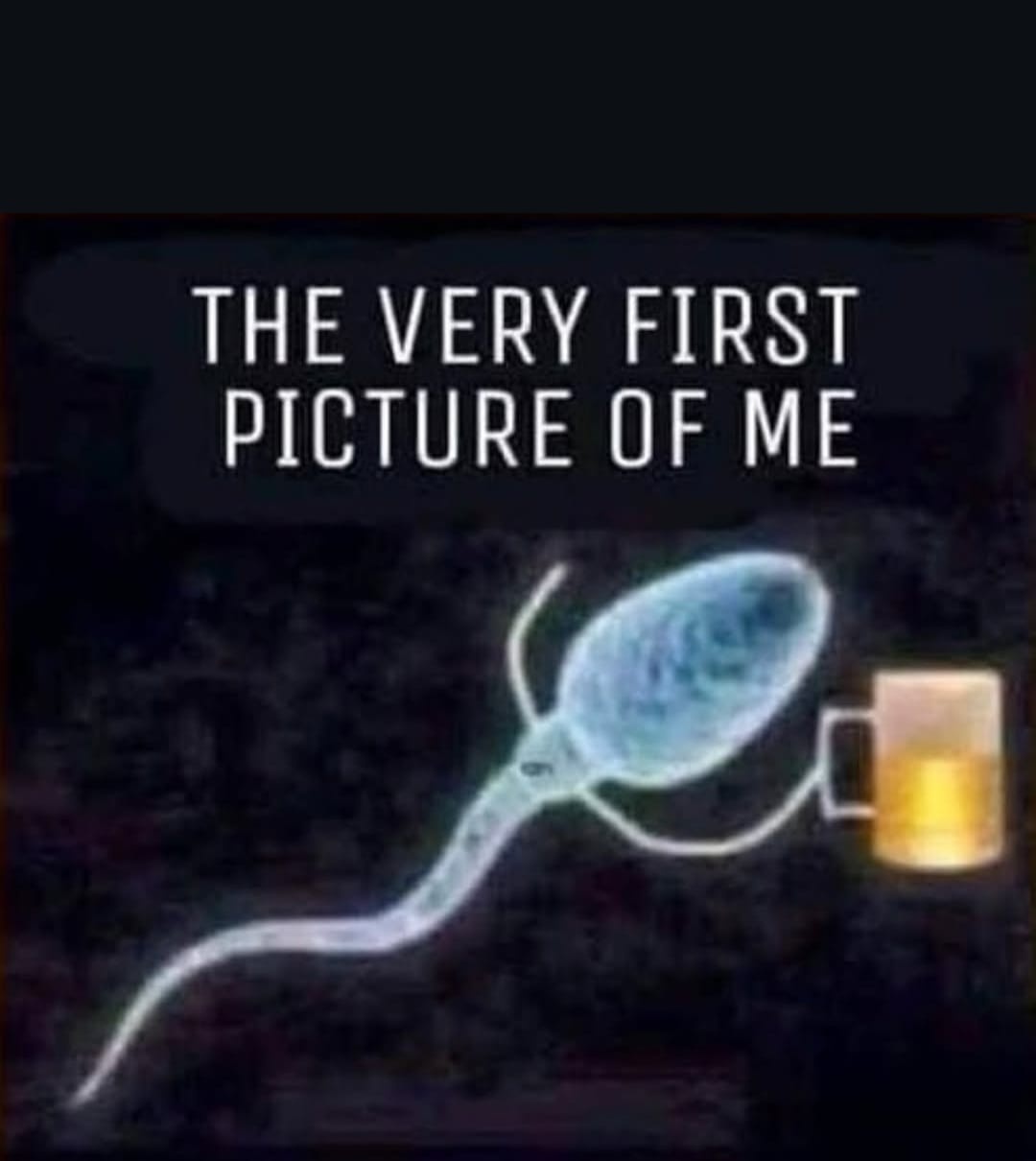 eb0c2f12-e30e-4b67-972e-cbb8032f795c