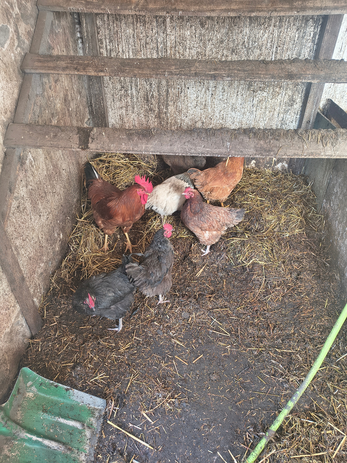 6f4021b7-d7e8-4b48-b5f6-3ab5428d4065