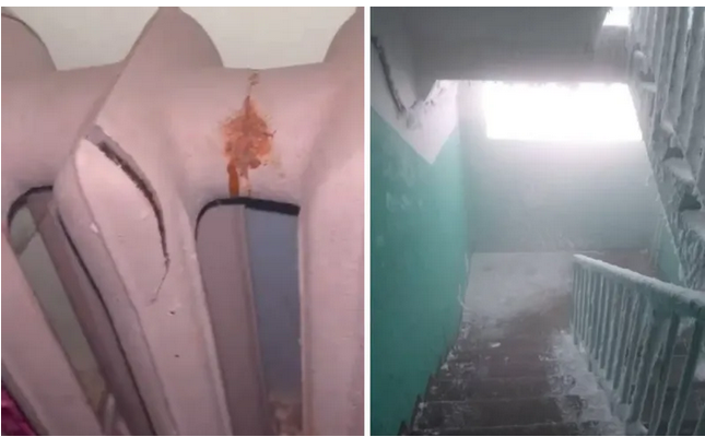 c10d81ba-9067-45a6-b74a-271e542d799b