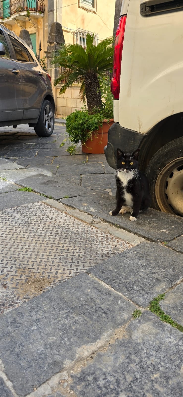 c955321c-e573-47cf-aeaf-de5c57e31bb8