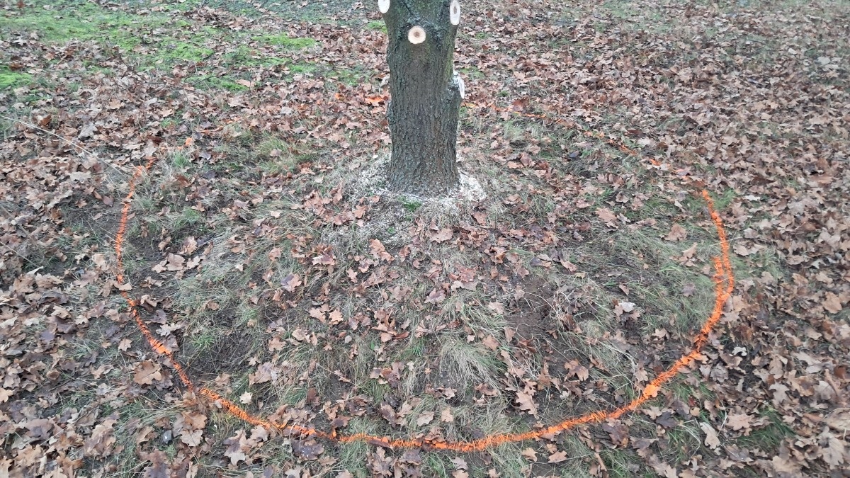 1530eb8b-bb4c-4299-bd6d-bbbd71014ee8