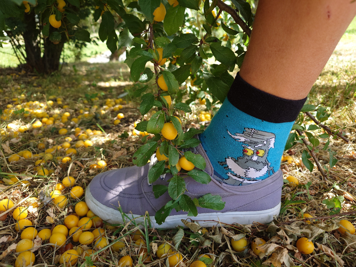 6b423b86-4e3f-4c64-9154-956c93f67eb2