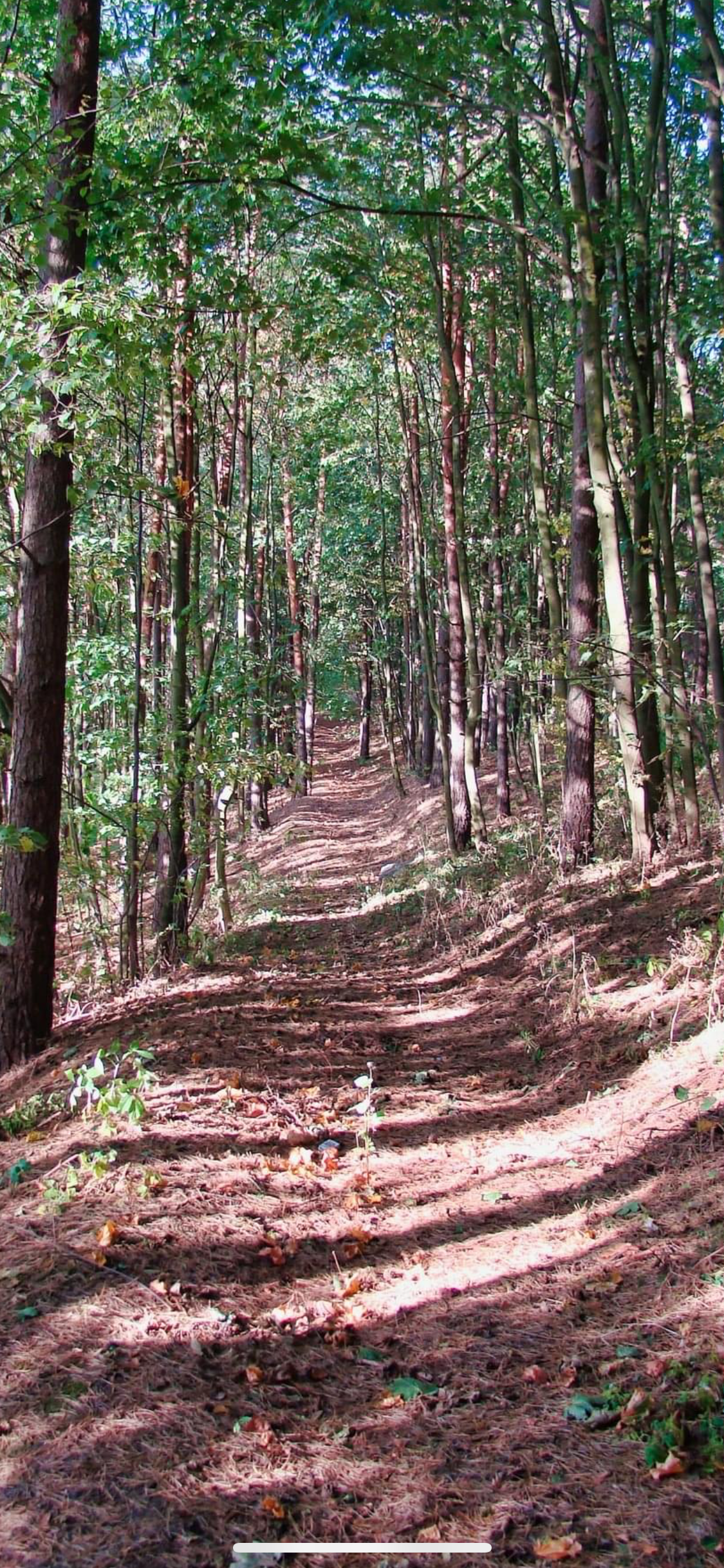 8ae22be6-1cea-4e42-ae38-f7c5ed3288d3