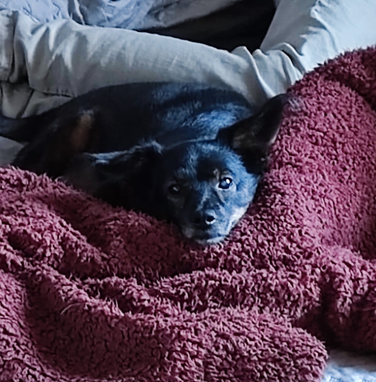 0427a87a-c5f3-448b-aaa7-85fcc23f6903