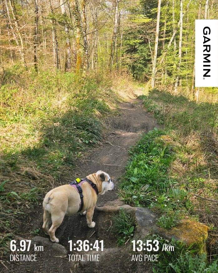 07132c31-163e-4e33-a8b3-0fc720ac255a