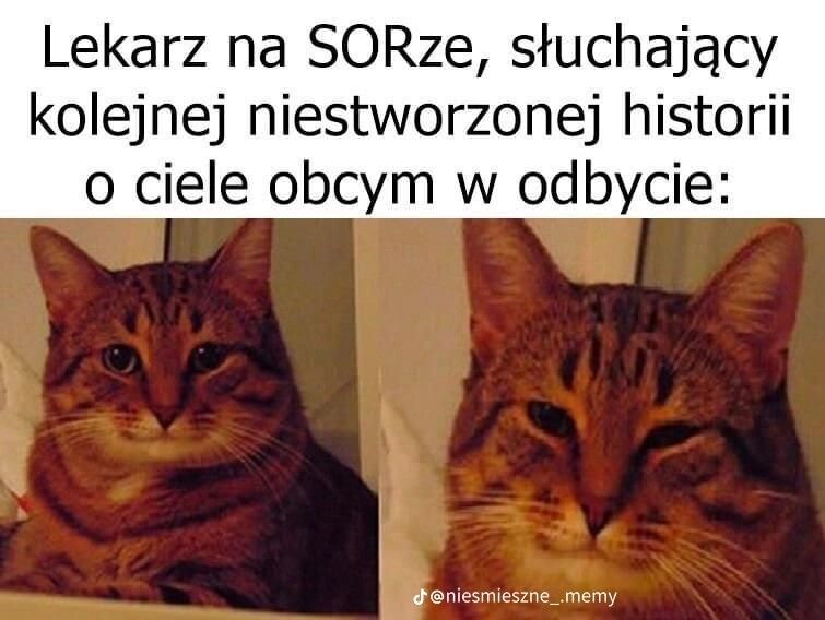 0e6b3767-a10f-46d6-b1aa-ea1f3b9b1a1f