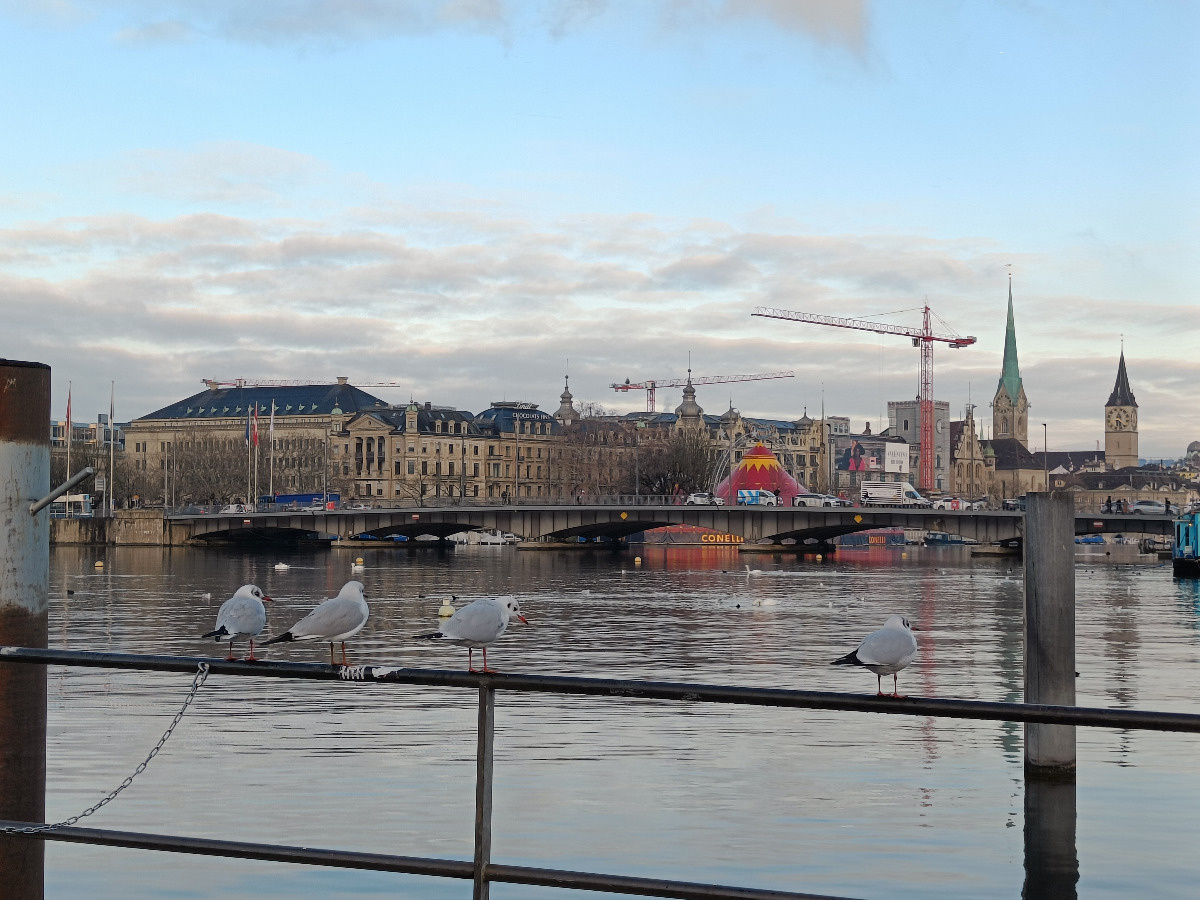 2025-11-27 08.22.48.jpg