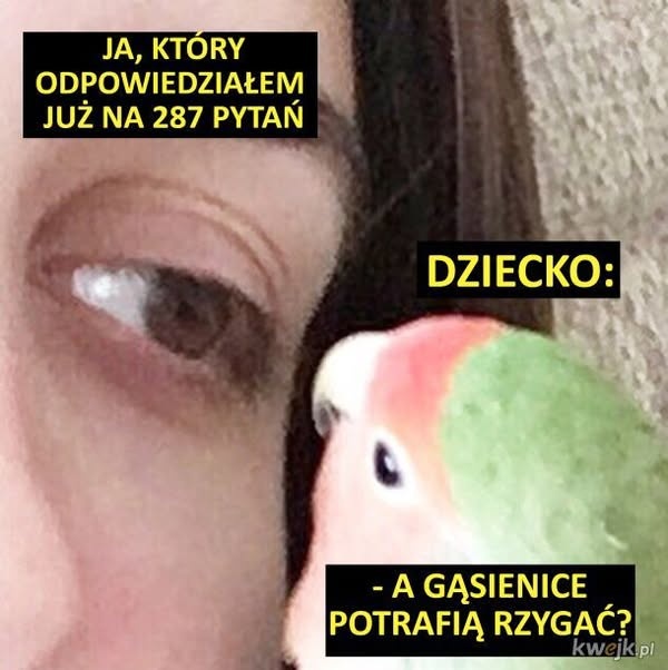 0413f666-6179-44cd-add3-2daef332c8f7