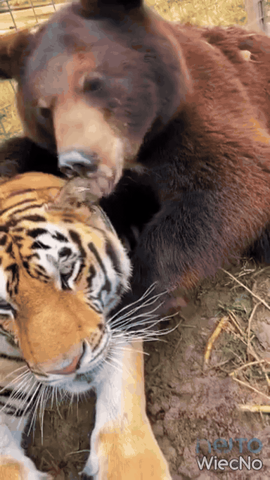 5a7c63e5-4221-4359-9bc8-2b1a7cc0b9c7