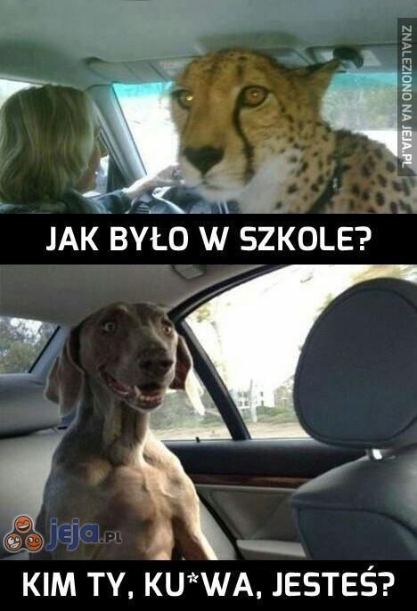 558c32a6-2937-44e3-91d5-04e948601fe2