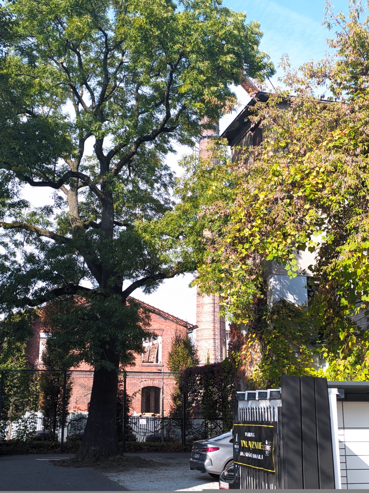 f2c8d1fa-dfbe-481e-9e8d-467f7ff2344b