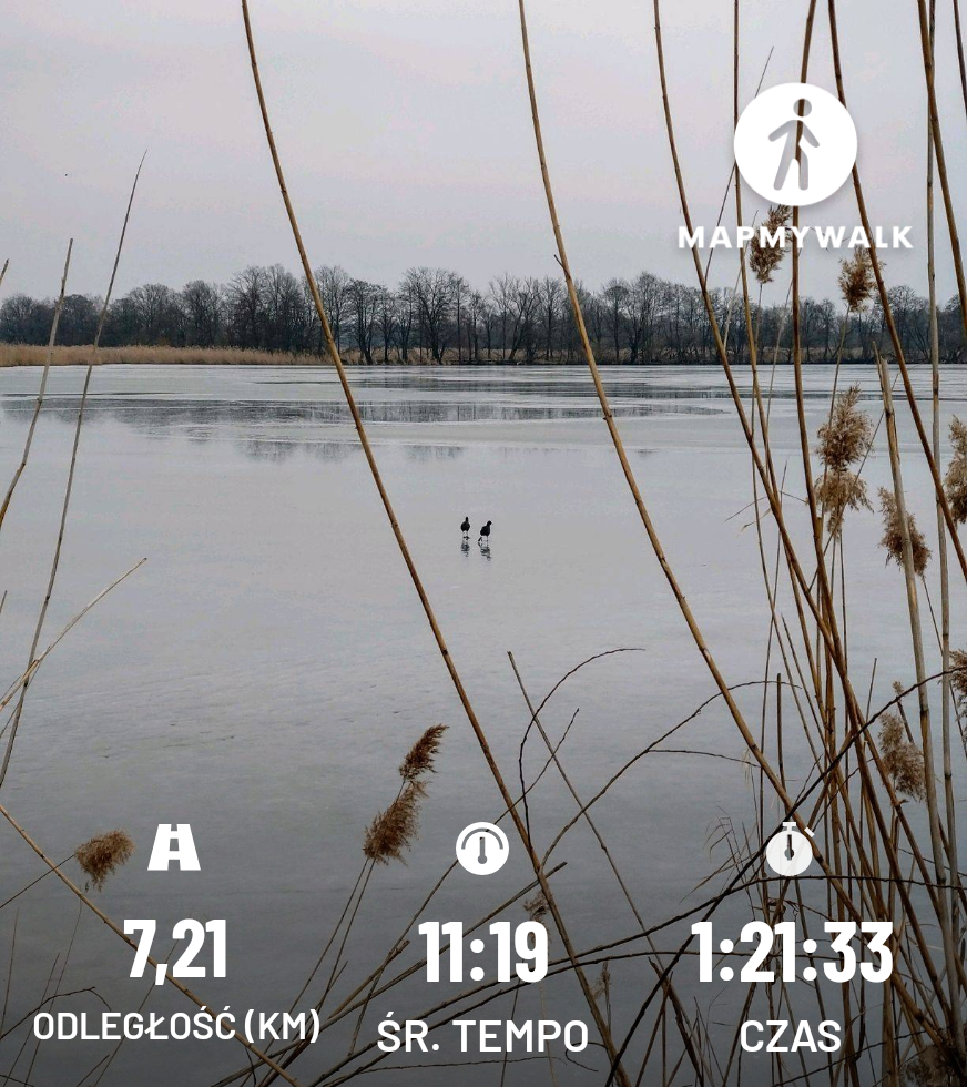 341751ce-42fd-4725-8216-bb8bf6011b3c