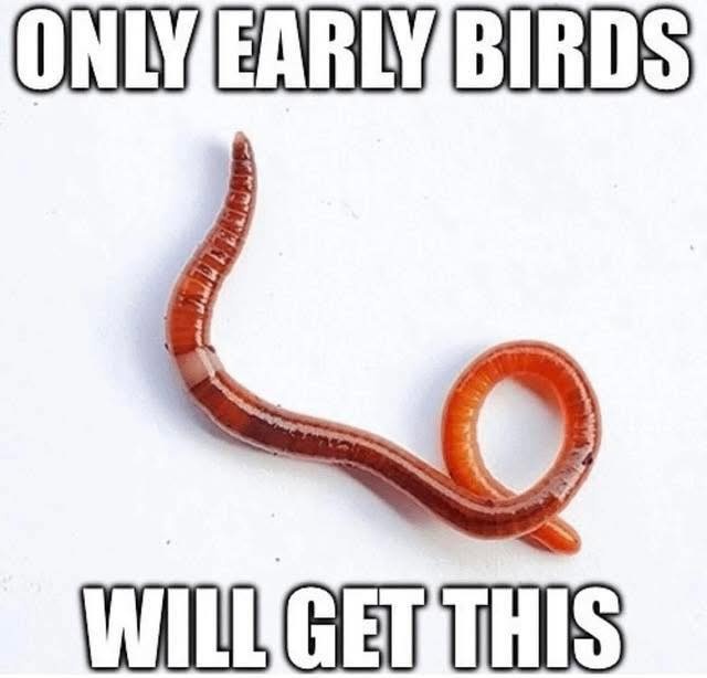 fb9d1dfe-5cae-41d6-882d-477140308771