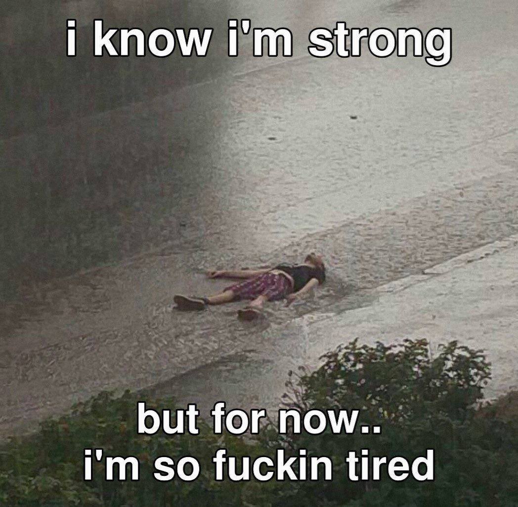 1d31c533-a749-4f15-8cf3-f5d7e7b4f41d