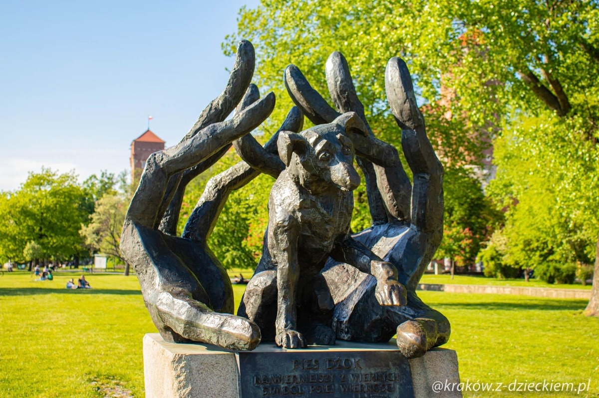 Wierny Pies Dżok: Symbol Psiej Lojalności w Krakowie