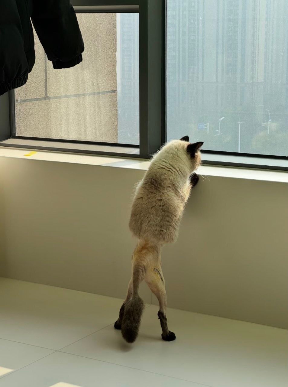 0070b534-6cde-4ff7-a28a-f19389c98863