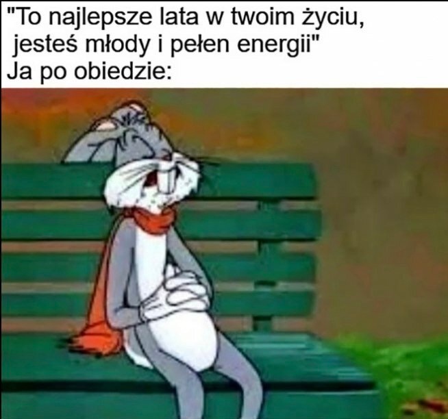 ff85987b-ea13-4389-9ecd-cc78bf2a59fc