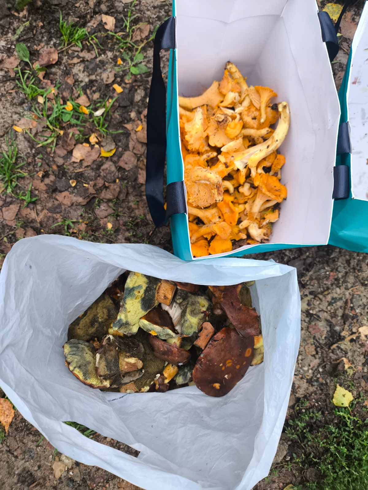 c0a49fad-14b9-4c4d-a750-0aa058730369