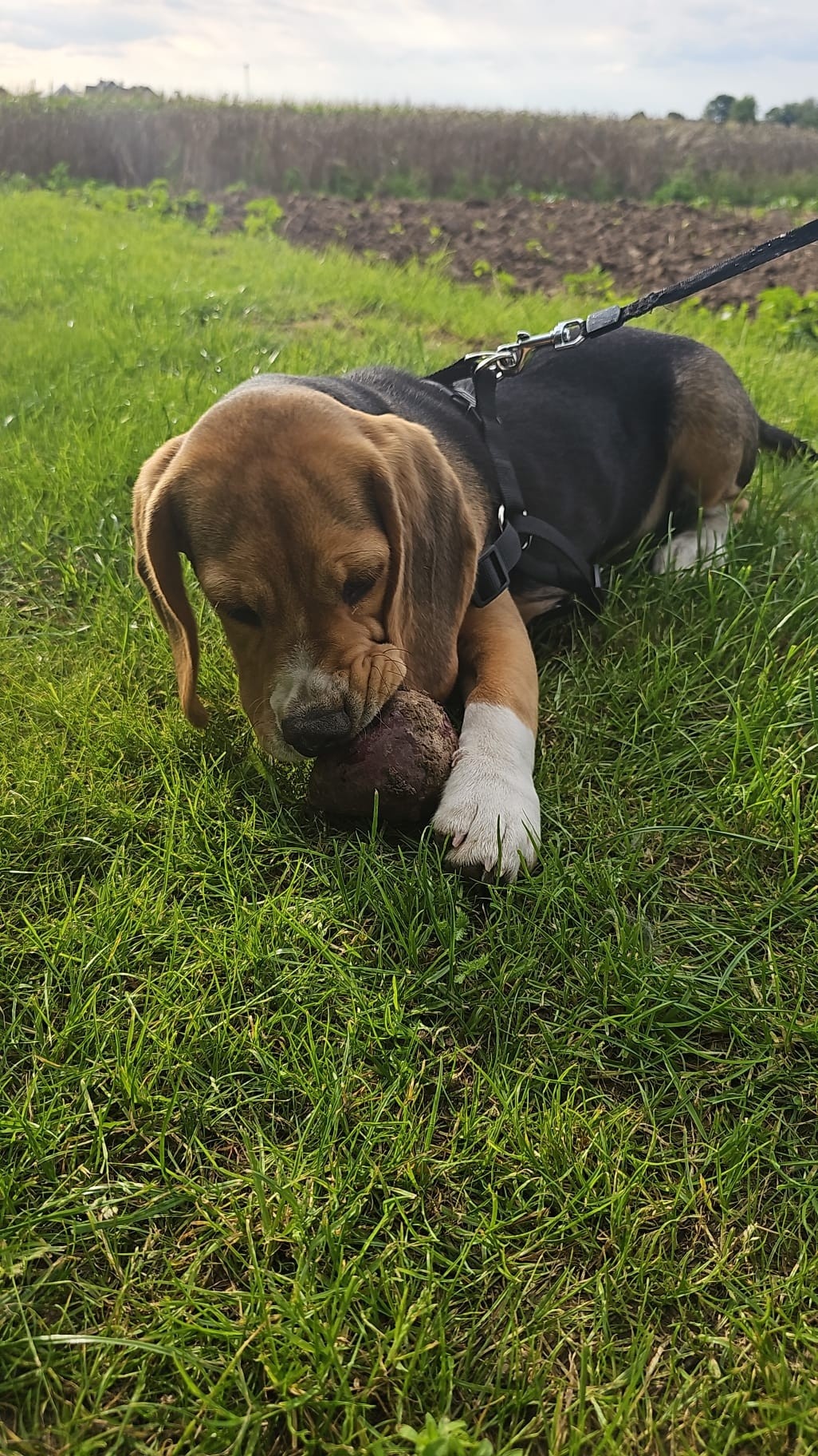 0003d16e-3422-433a-86ca-ce20d035b1f3