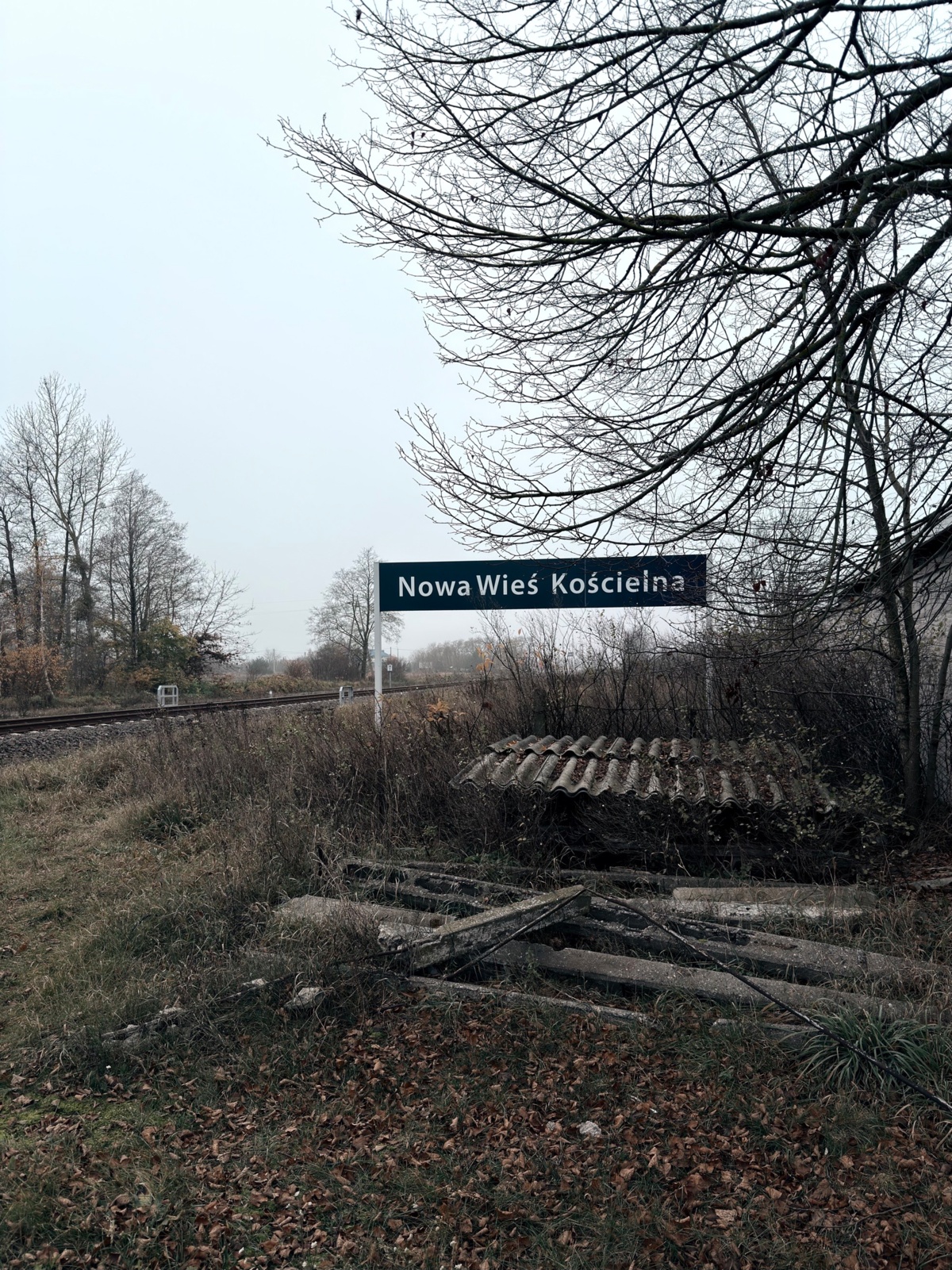 987923d1-54d0-4f51-bc9c-56d969e1a83e