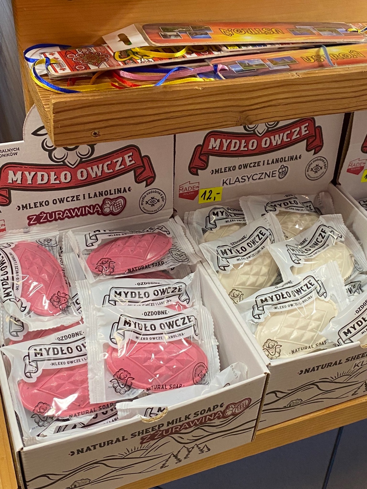 b5bec8c8-7a4e-4b56-97a8-a4465fff507a