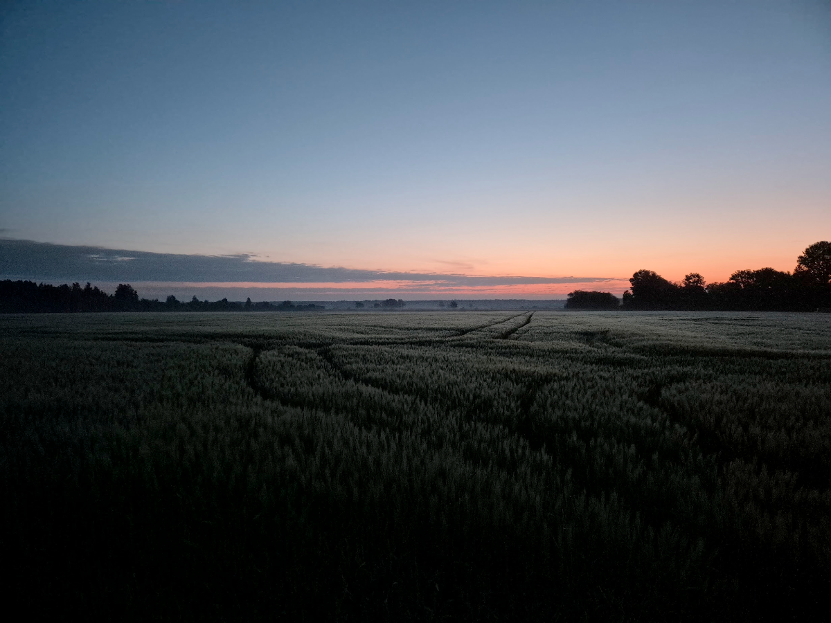 9e02828c-52af-48a3-a870-3c0150fd87de