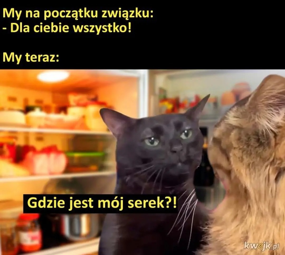 af5e1796-b552-4633-b6b5-3368aad96a32