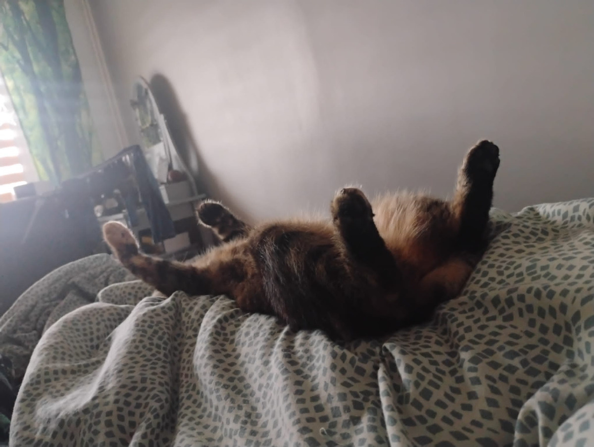 c58a6efe-8703-46ec-b089-dd2ac57dbe19