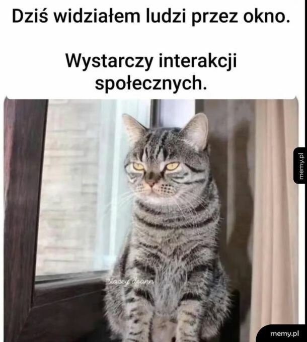 c44c770f-64c0-44a8-ac7d-e7dcb8f002fa