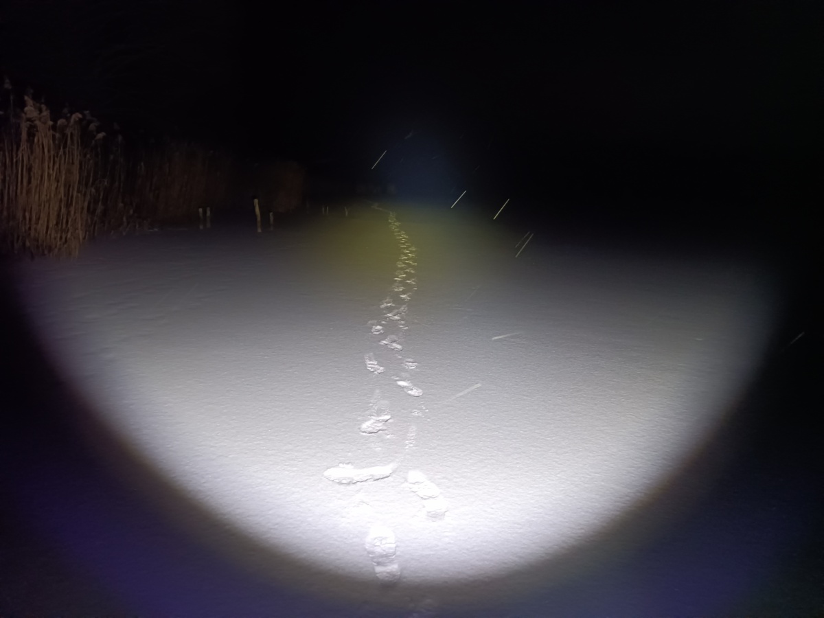 e1f437fb-db7c-47d3-aee8-f65b3404ca8e