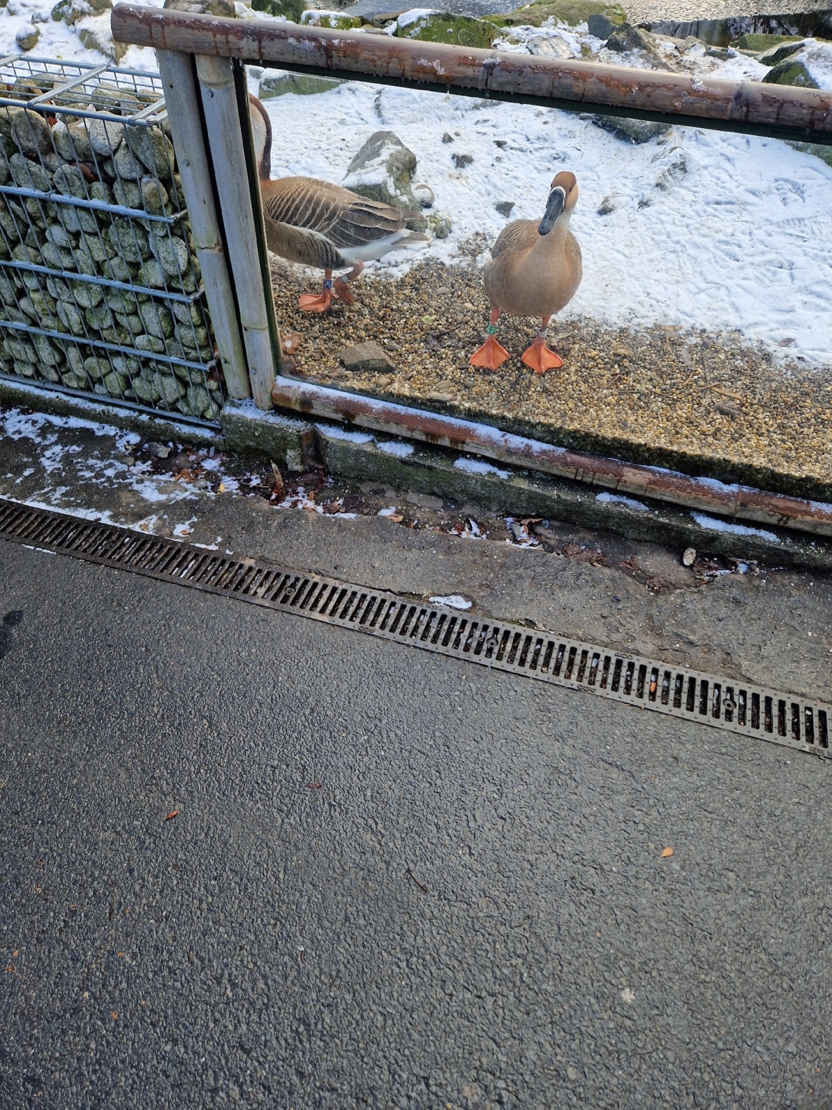 d191887b-24d1-4784-8aab-a45539515285