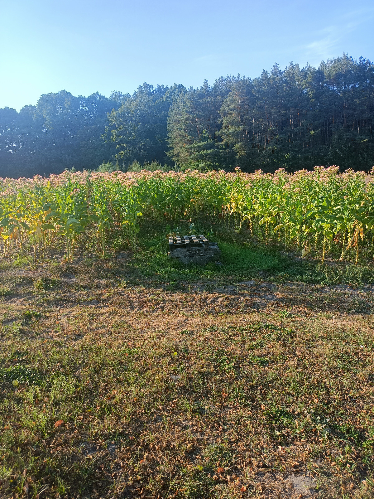 c395e9a0-1ccc-4dc2-9f0d-0755ecdd531d