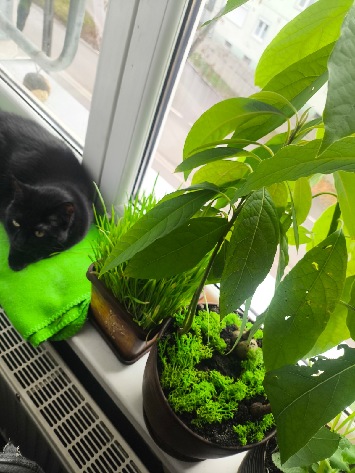 2b5b6c4f-d616-401e-9be3-05e9d646c88a