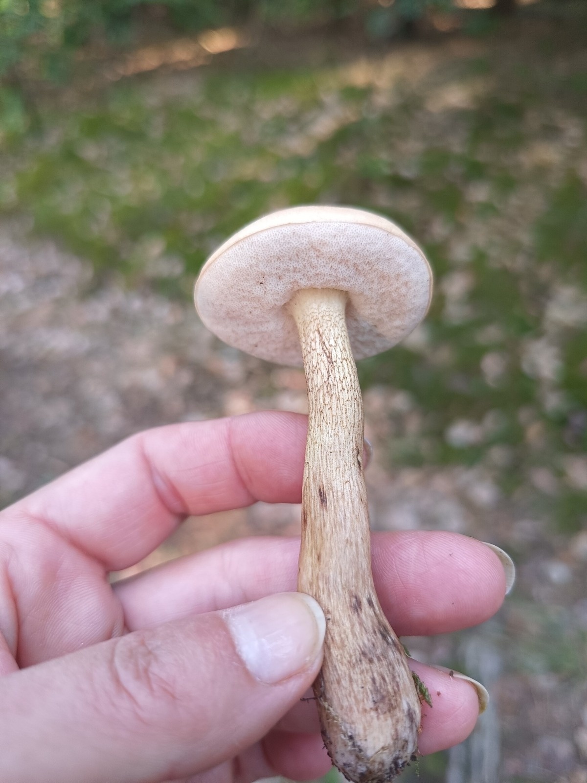 94ed9896-9521-4aa4-8f7d-a04f823287d5