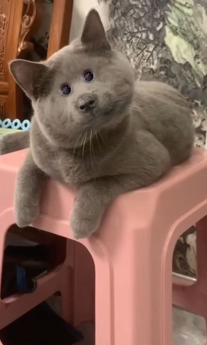 11aa6365-c504-40ef-a7fa-debe4646f116