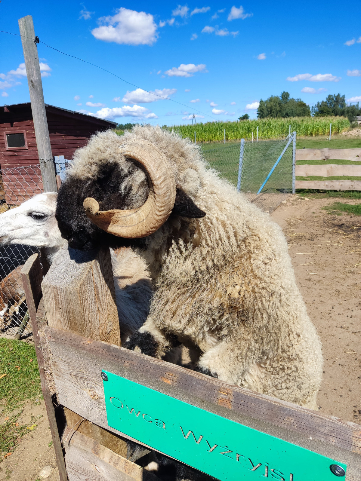 826c26ad-5303-4df3-85da-1cd66b48e903