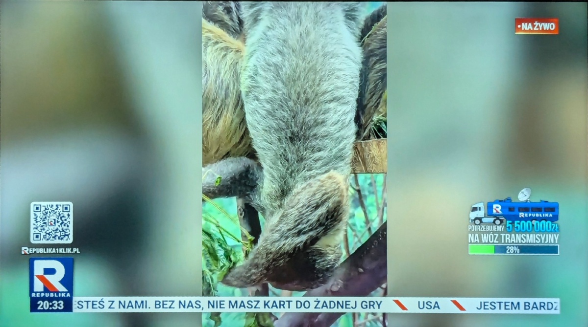 0cbd313e-9fbf-46dc-a160-40d756639002