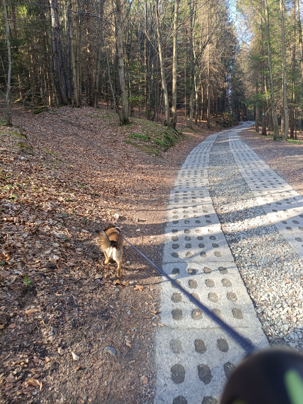 8315db50-9832-4649-93d7-9509da098775