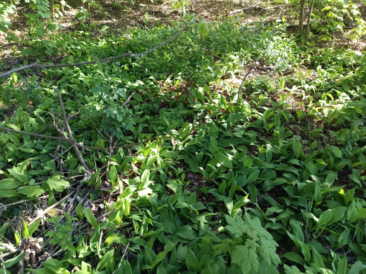 79d8f258-16d9-4839-8172-a7bfc55ddba5