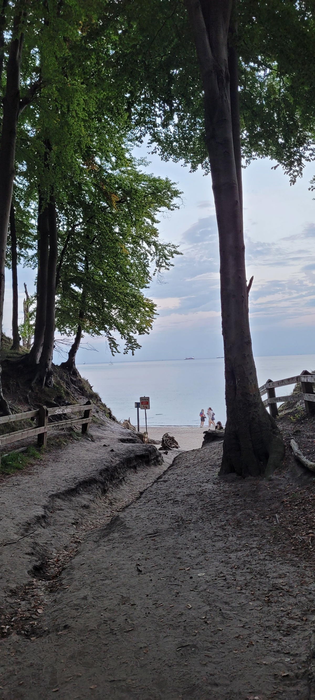 67ff43c8-3dad-450d-9d33-17dc37be0467