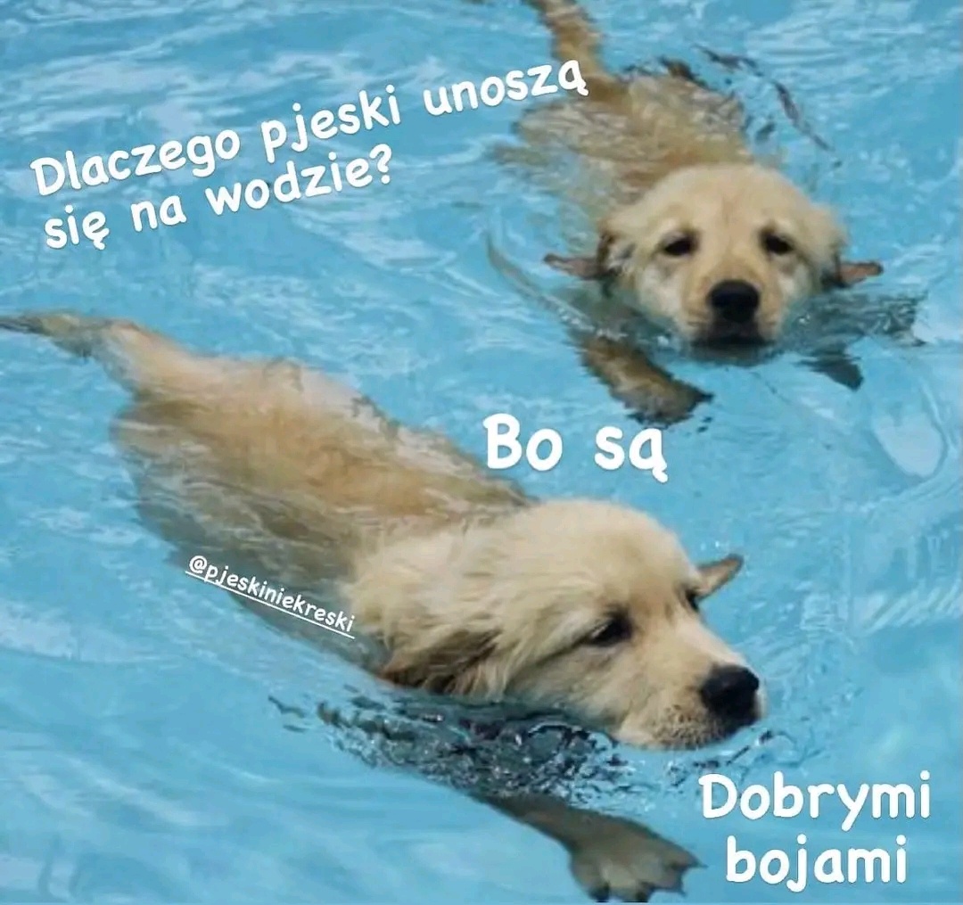 639b2837-f2dd-4435-a93e-408ba1ba0e9b