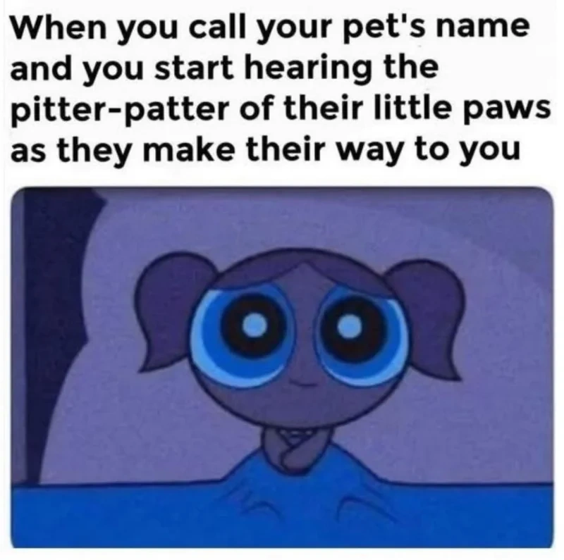 77abbb3d-b121-46f1-936c-80d16d164ed5