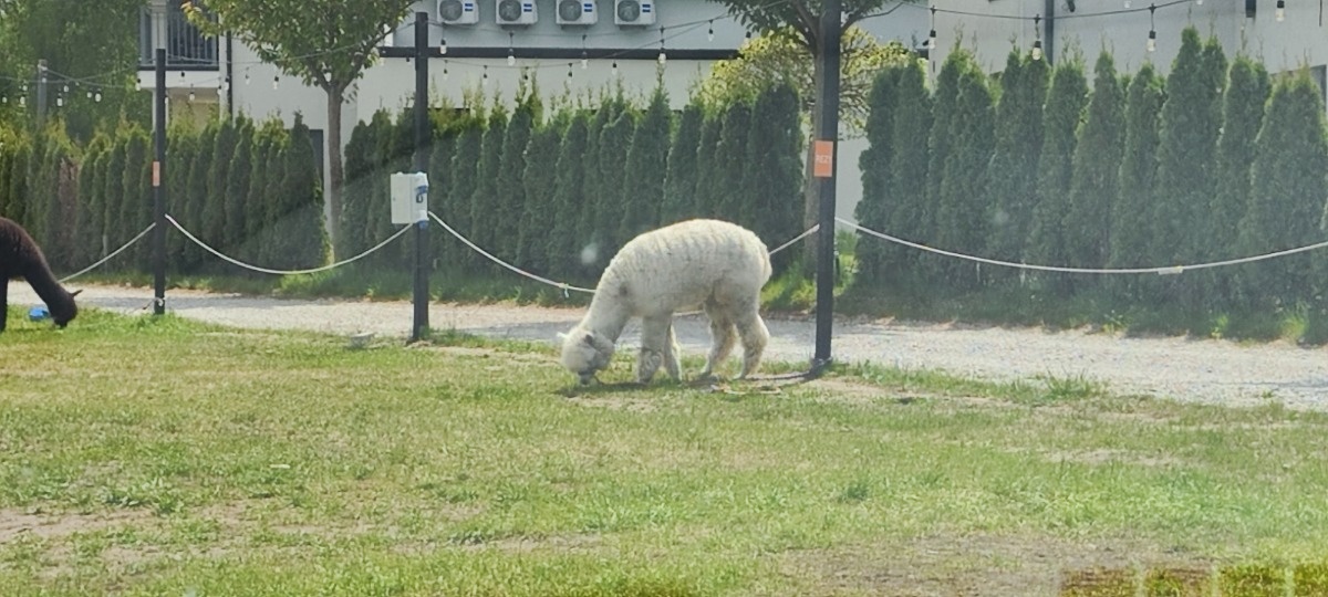 863bfde5-ff23-4715-980e-cc7ad9b60d15