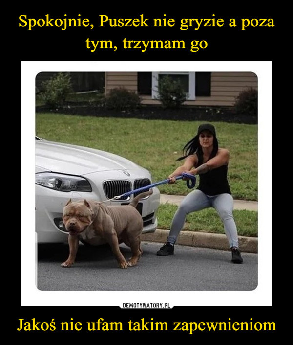 ce742e5c-9027-483f-9289-99230a509d1e