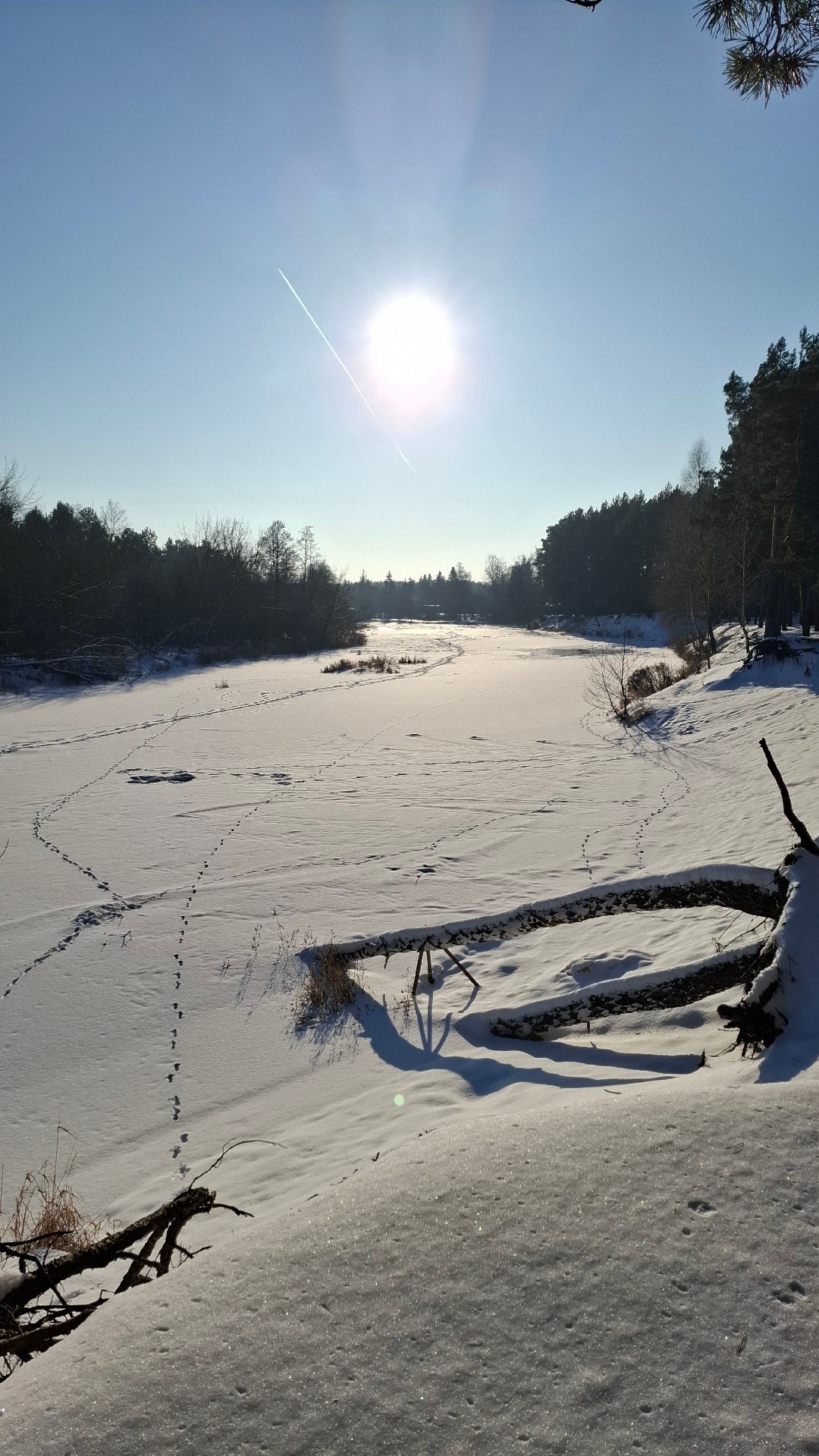 3272e2f6-0fcd-4d54-bcb9-74dc6496ae0a