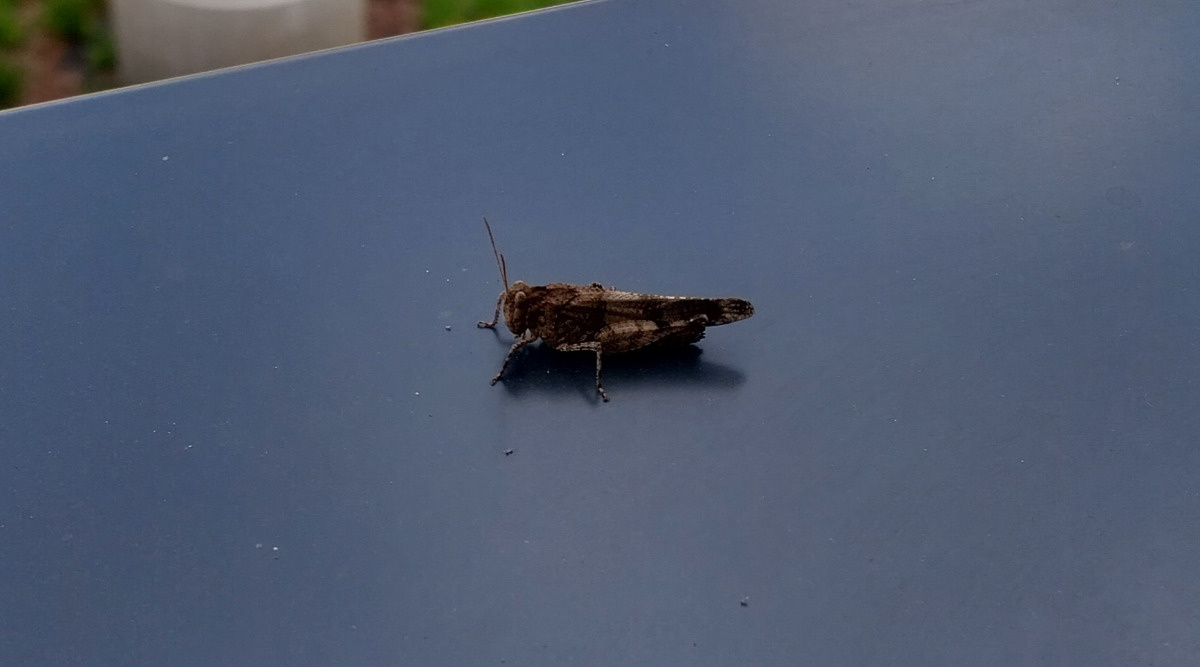 72717485-8fce-46c8-a003-7bd79fb49396