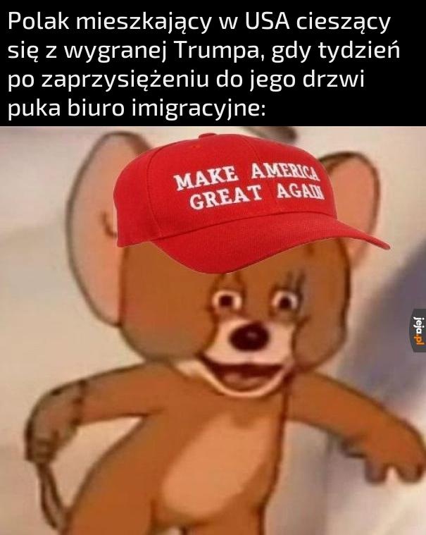 46d44f04-68bb-42a8-9861-bdf78d43c249