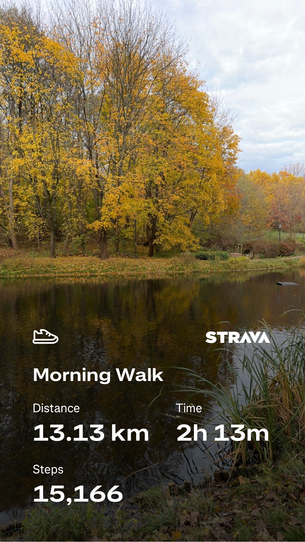 5191f0b6-03c3-4770-8ccd-616741f33c19