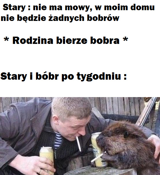 2c3d3a29-78a4-4263-9987-f46e192f8e14